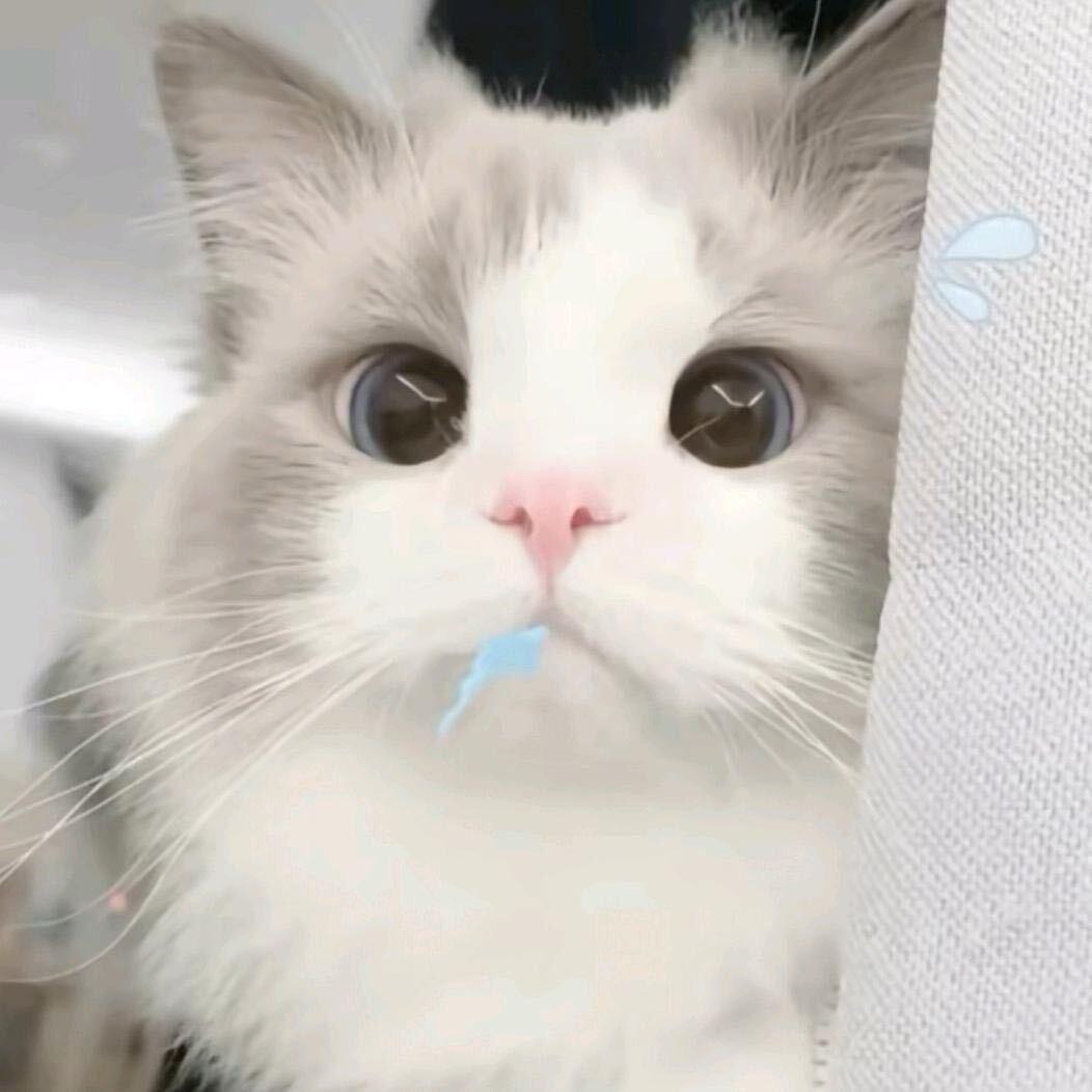 被伤害