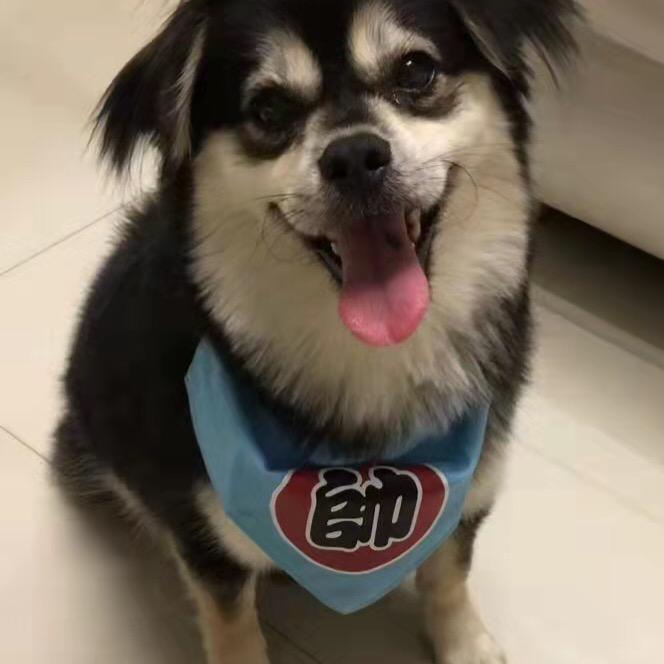 管家仔66