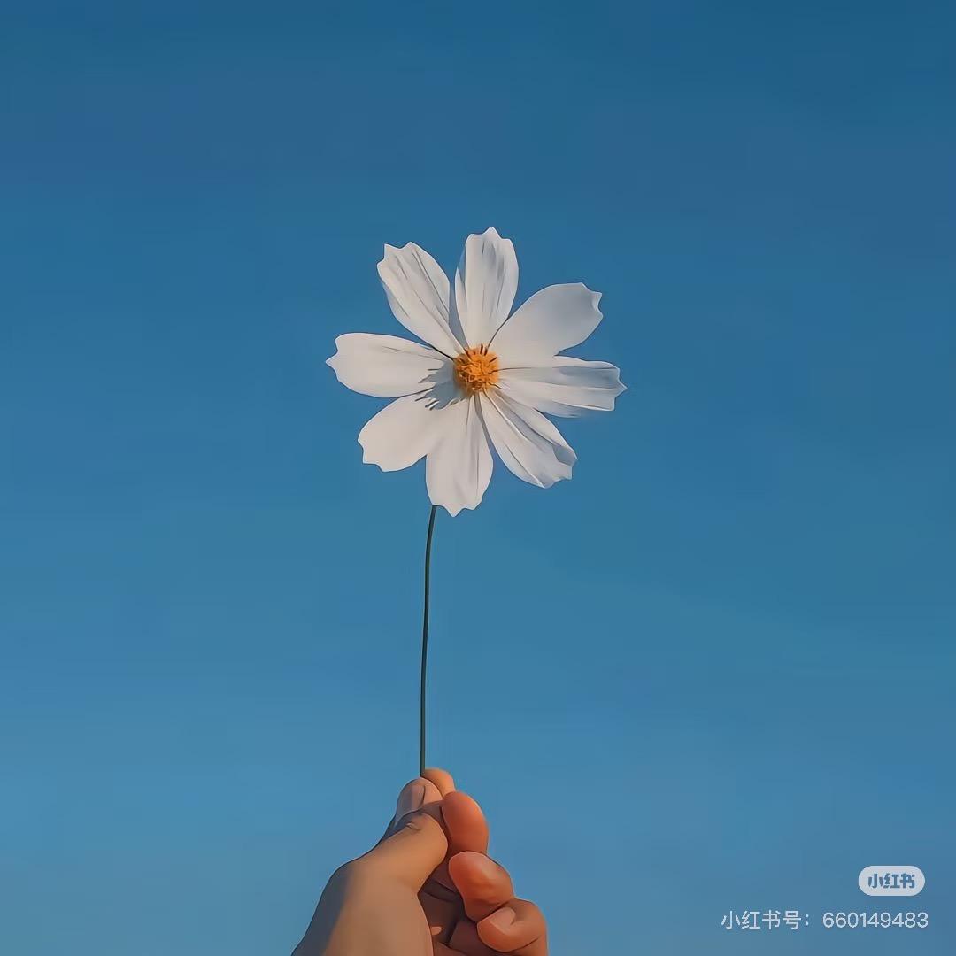 财运当头