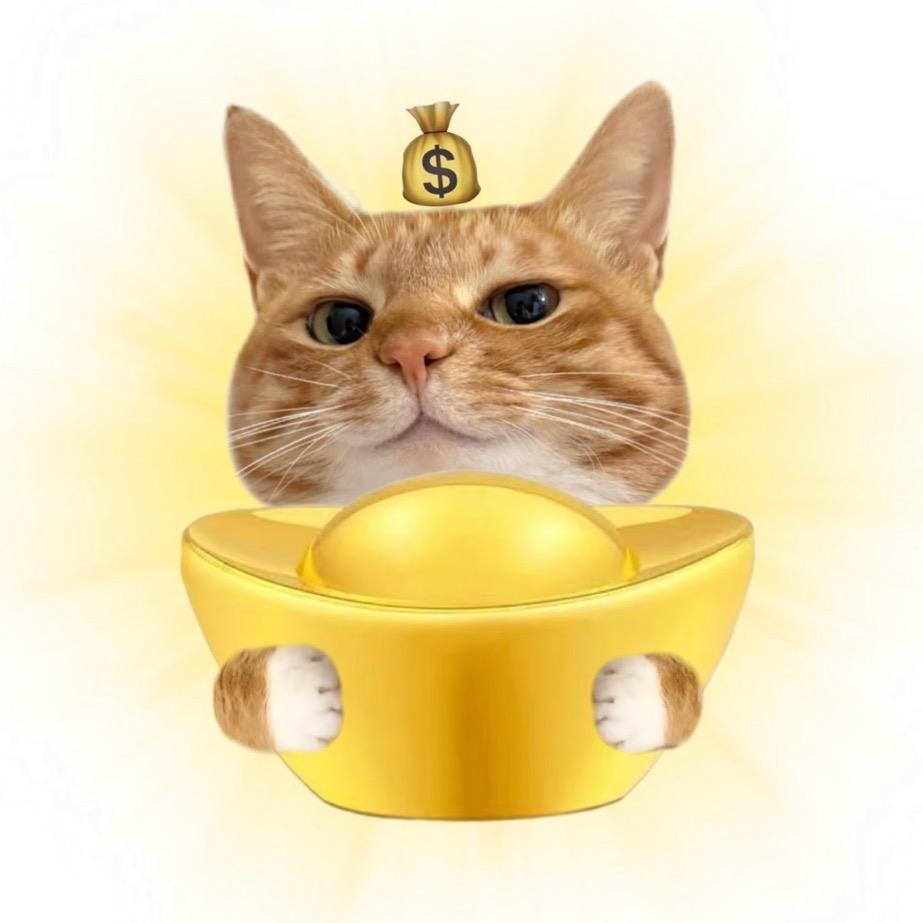 鑫铭发纺织-丁呱呱