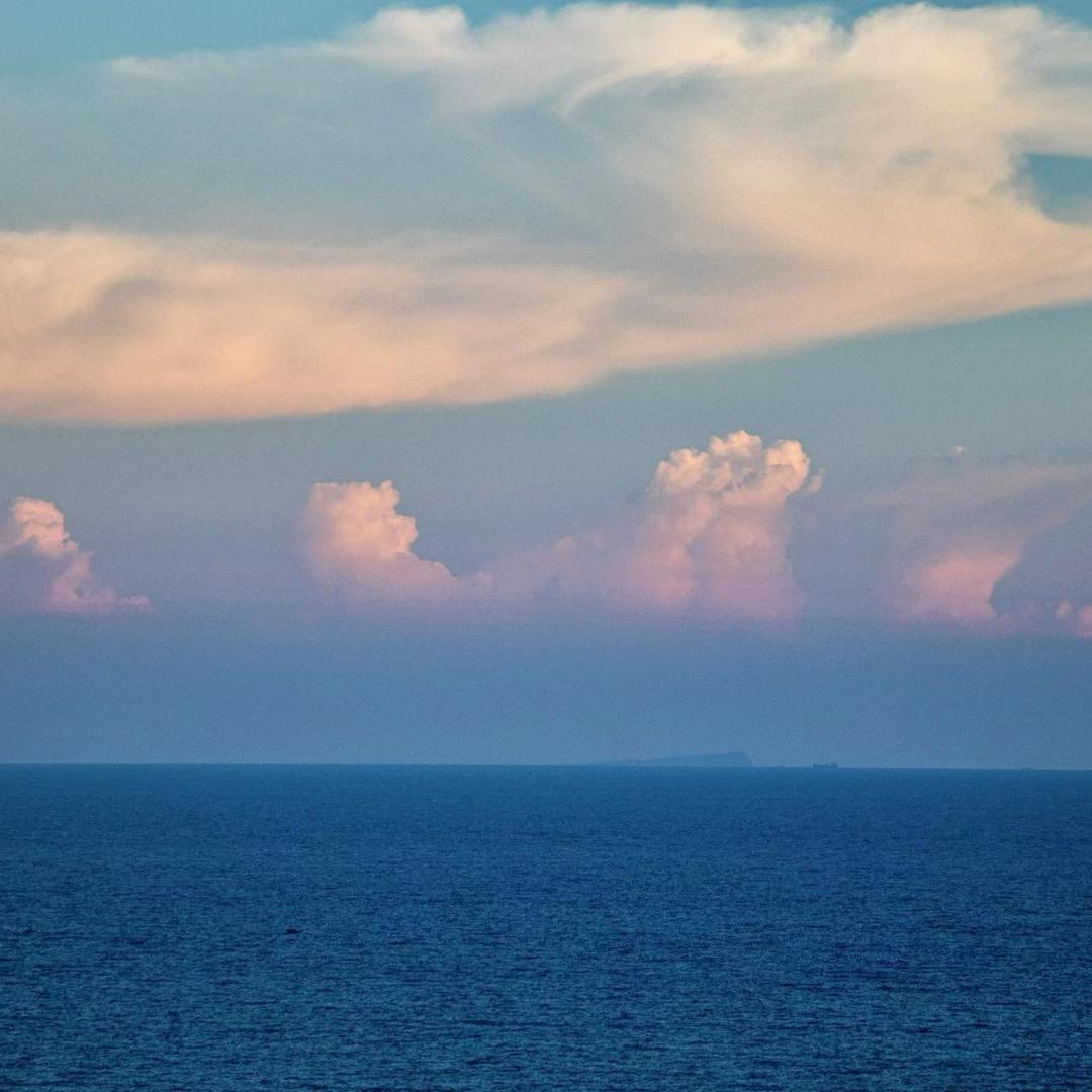 海味直播