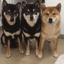 ⁥⁥⁥⁥ ⁥⁥二胎宝爸已封蛋