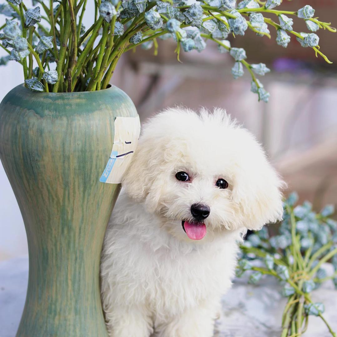 朝花夕拾鲜花严选