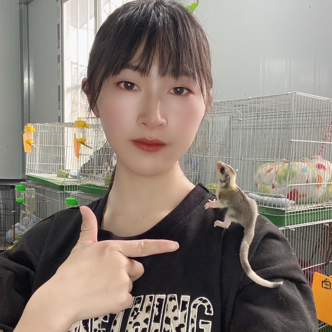 臻宠宠物小店玩家手养蜜