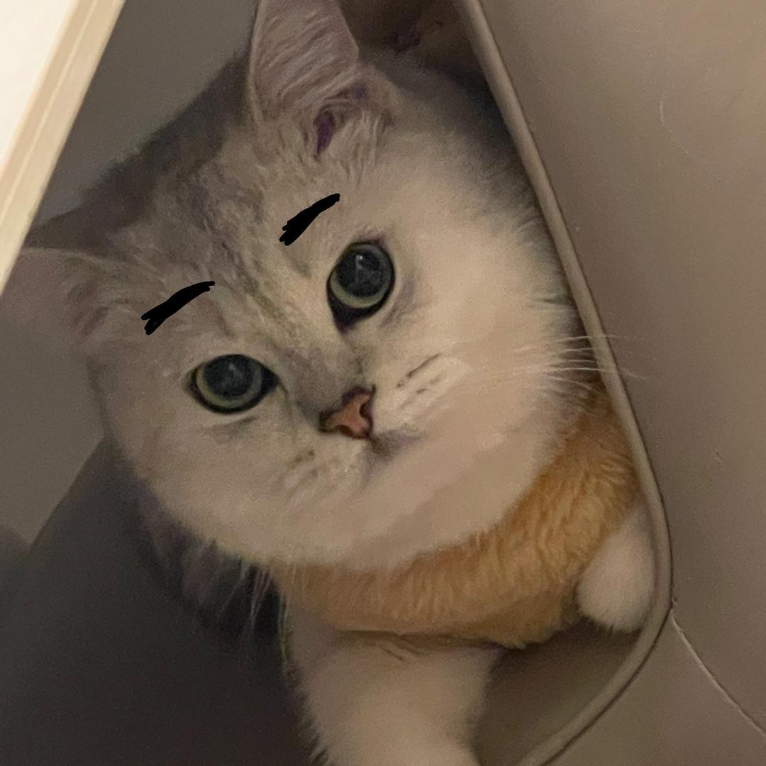 初一手工穿戴甲