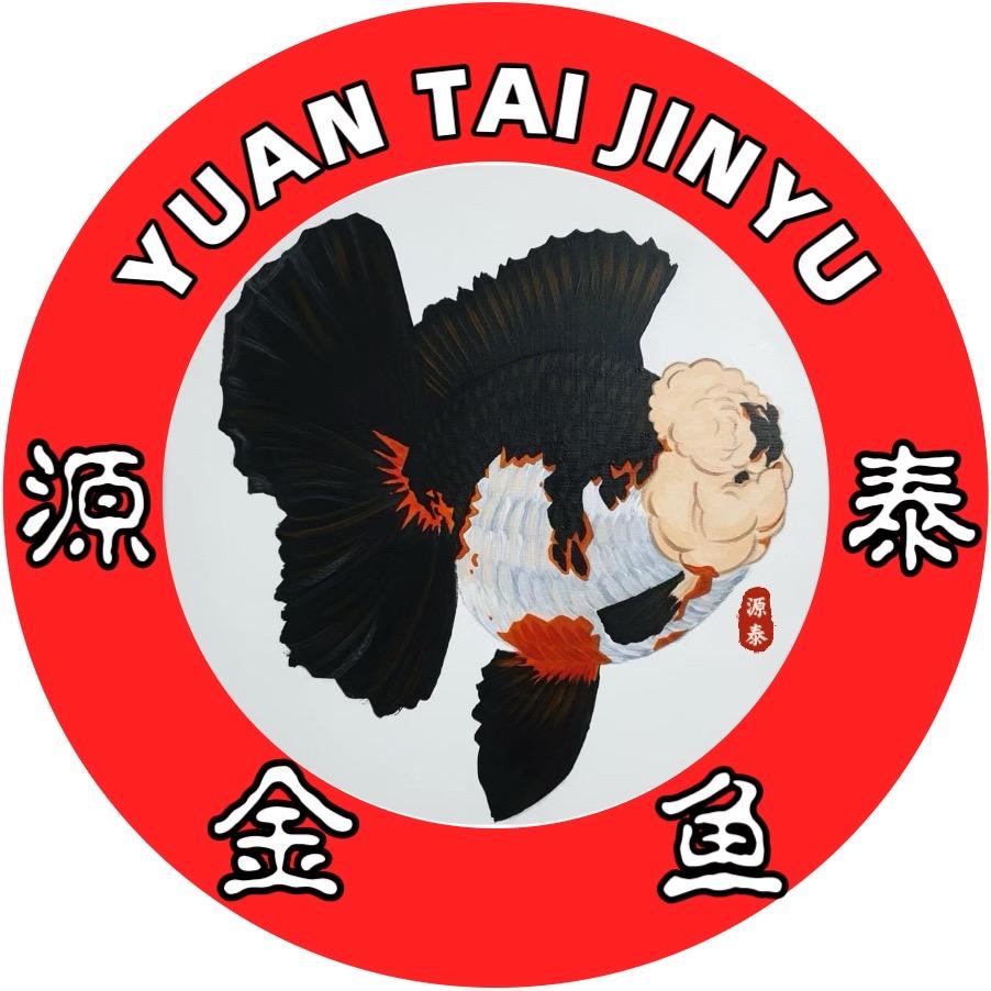 源泰观赏鱼（直播号）