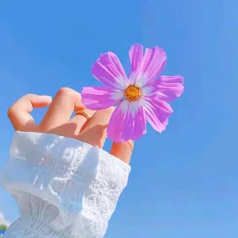 用户7074350038156