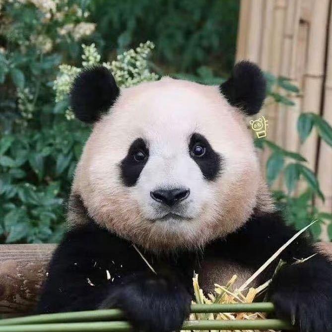今天早睡了嚒