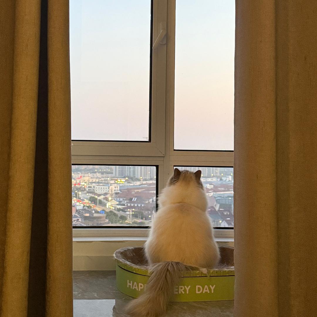 ૮₍ ˊᗜˋ₎ა