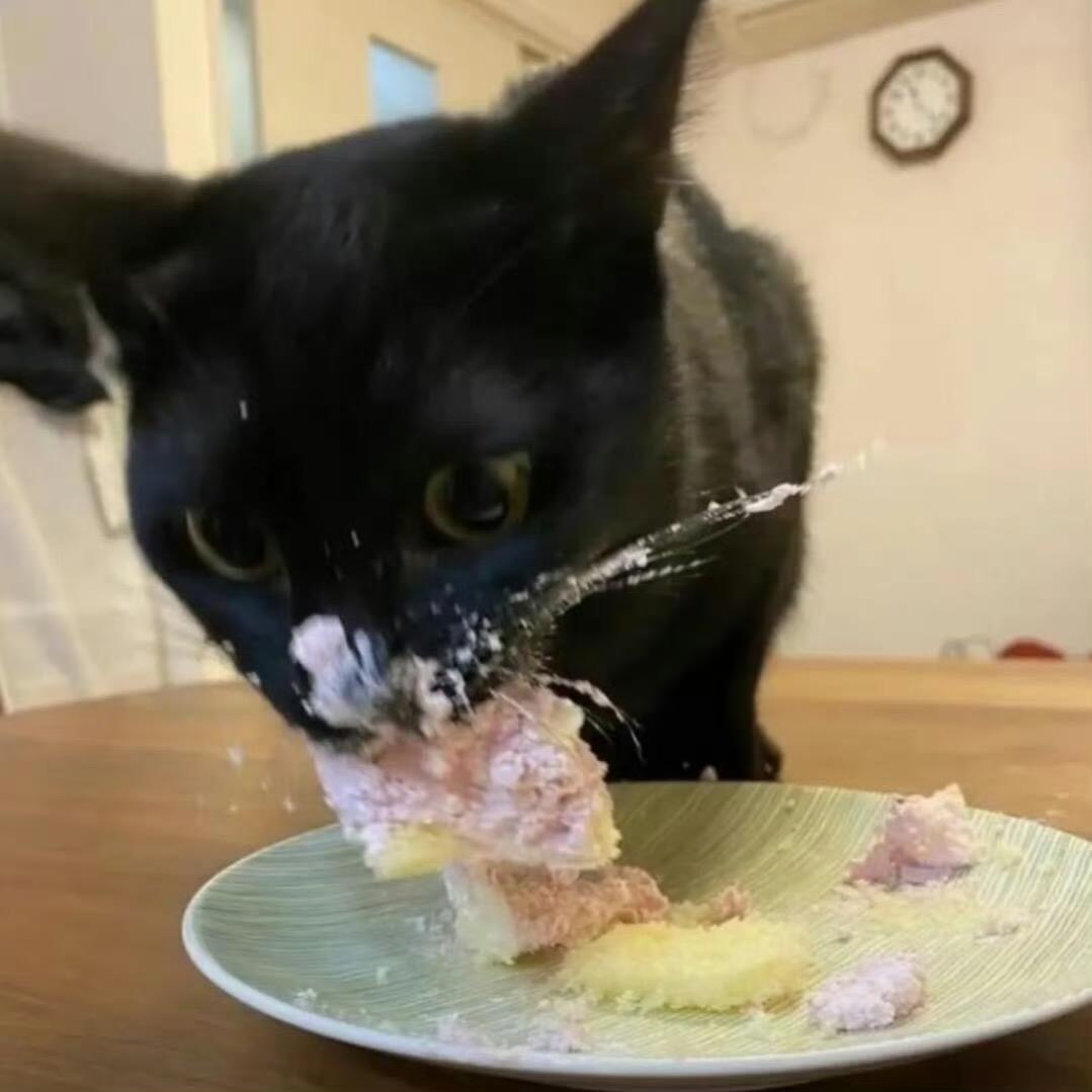 没有漂亮的义务