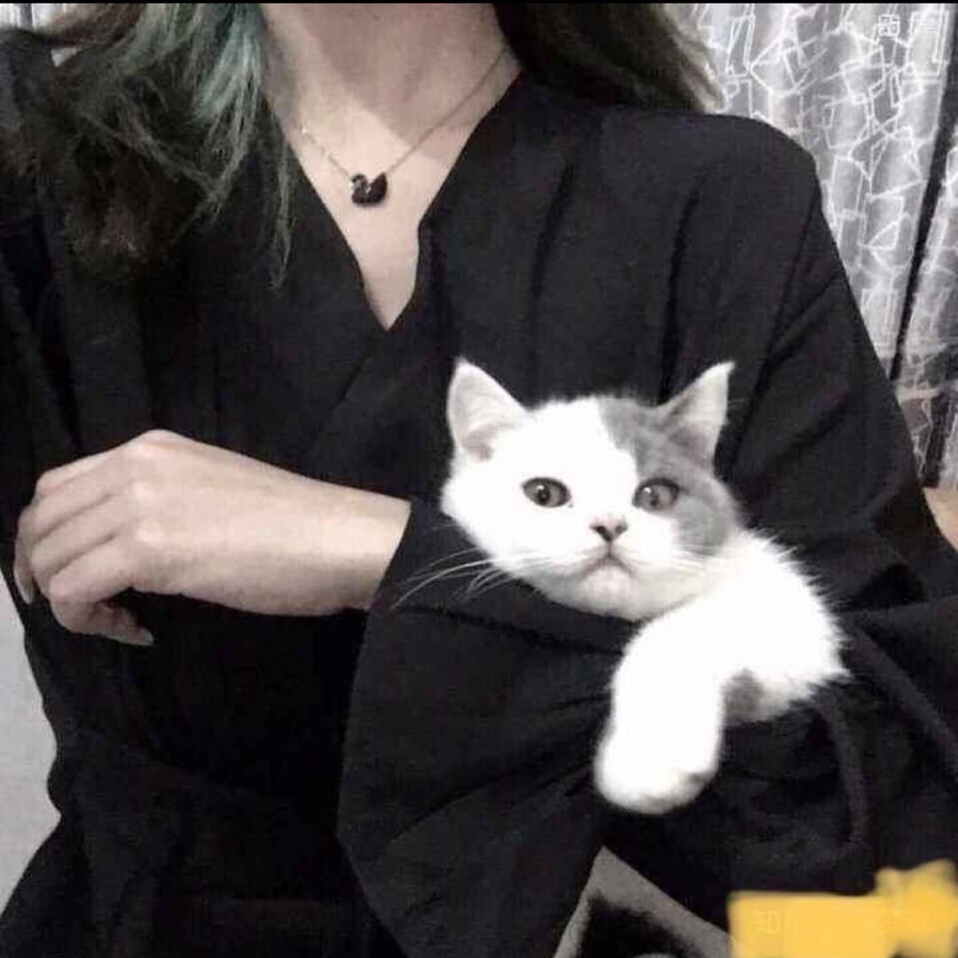八姑娘❤️❤️