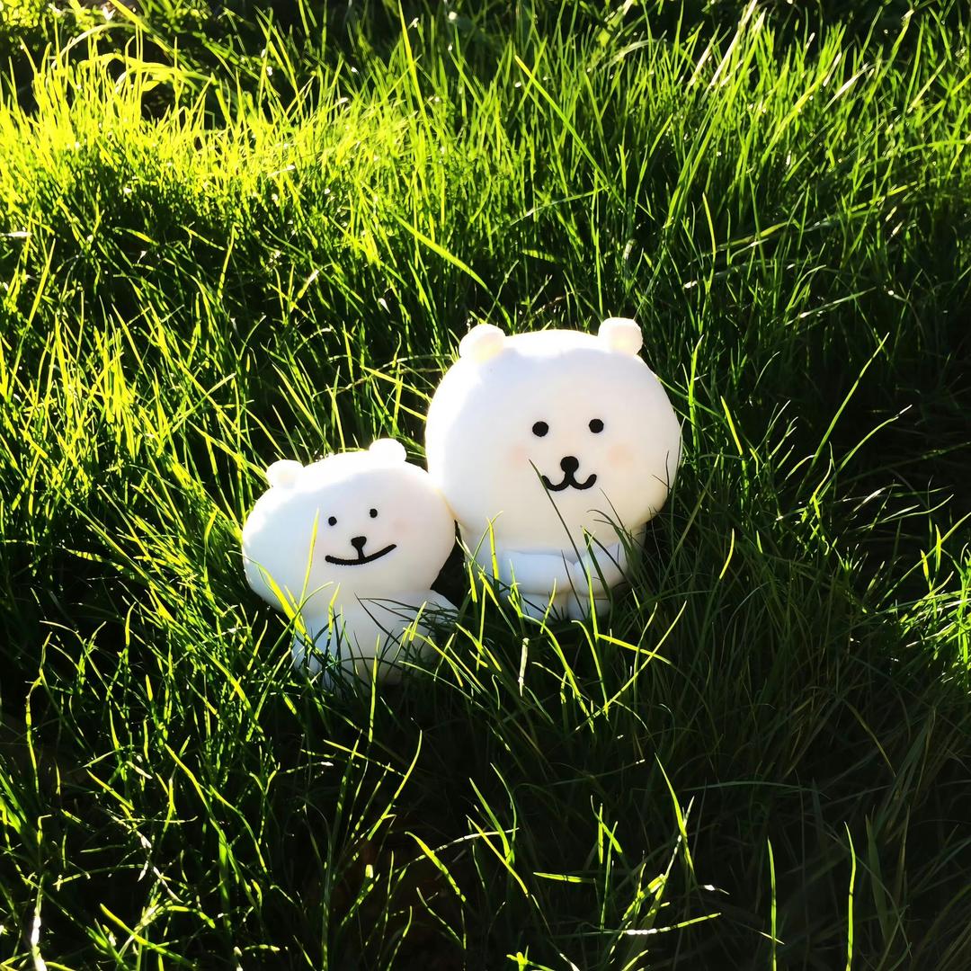 泡菜鱼