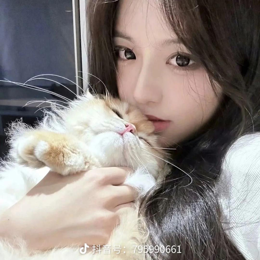 小茗同学@