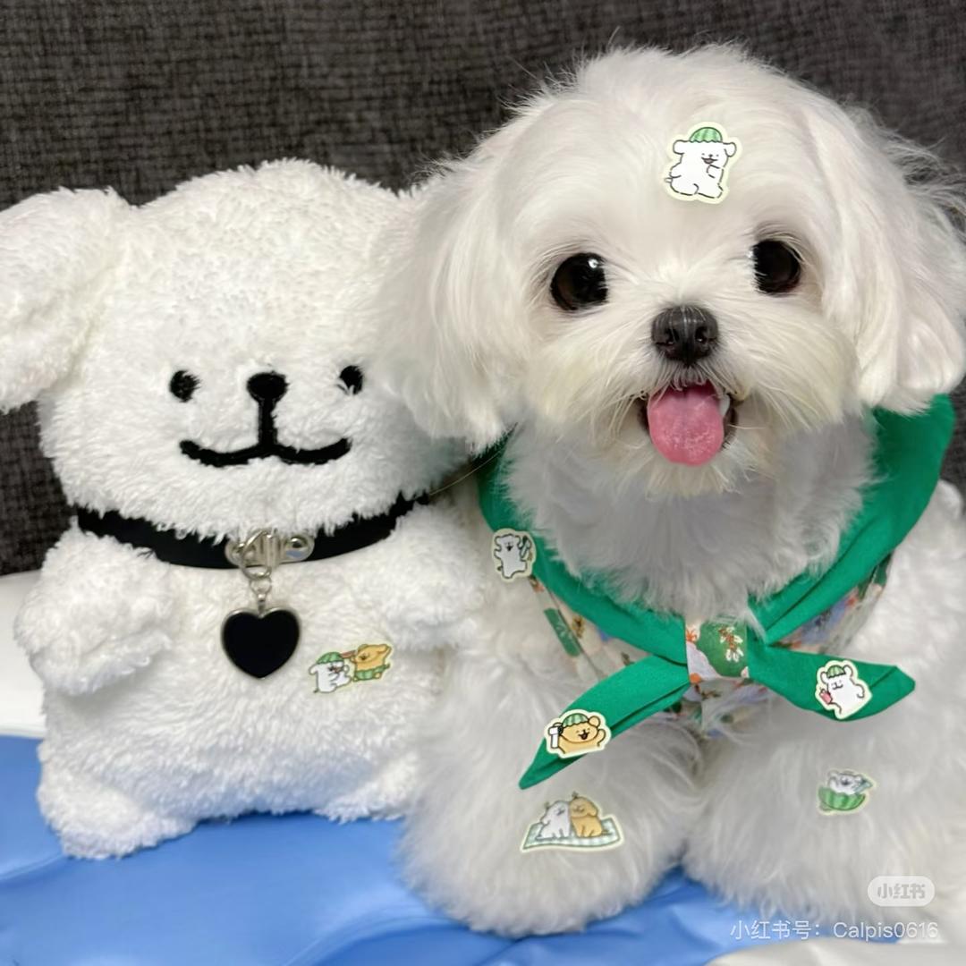 失眠日记