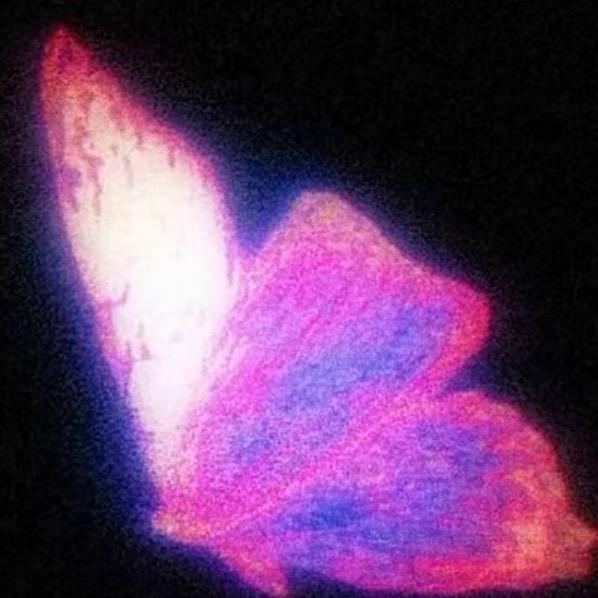 黑皮葡萄