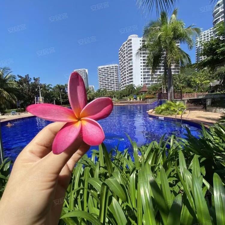 九月花园