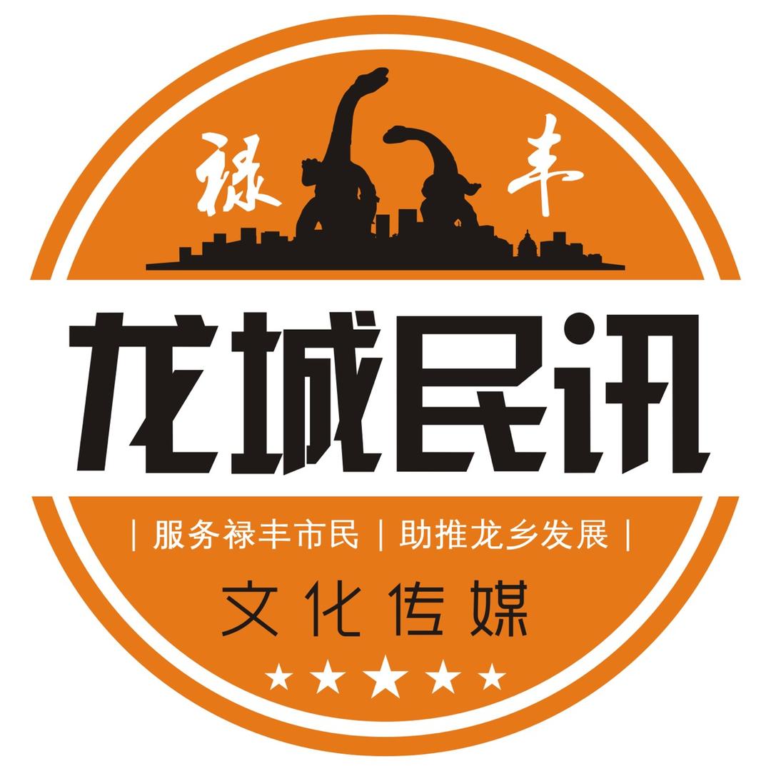 禄丰龙城民讯