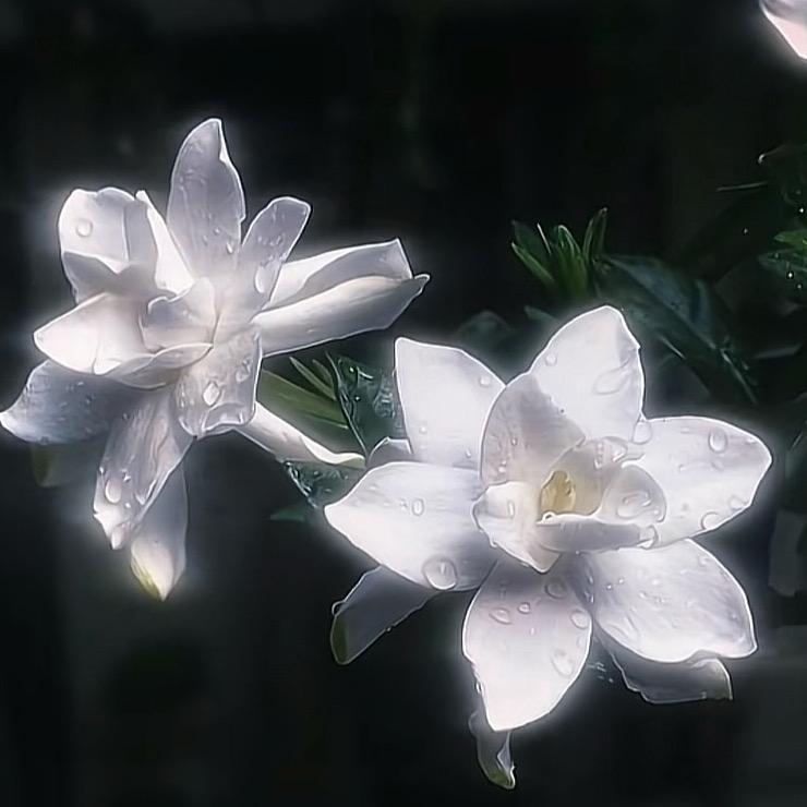 蟹老板我下班了