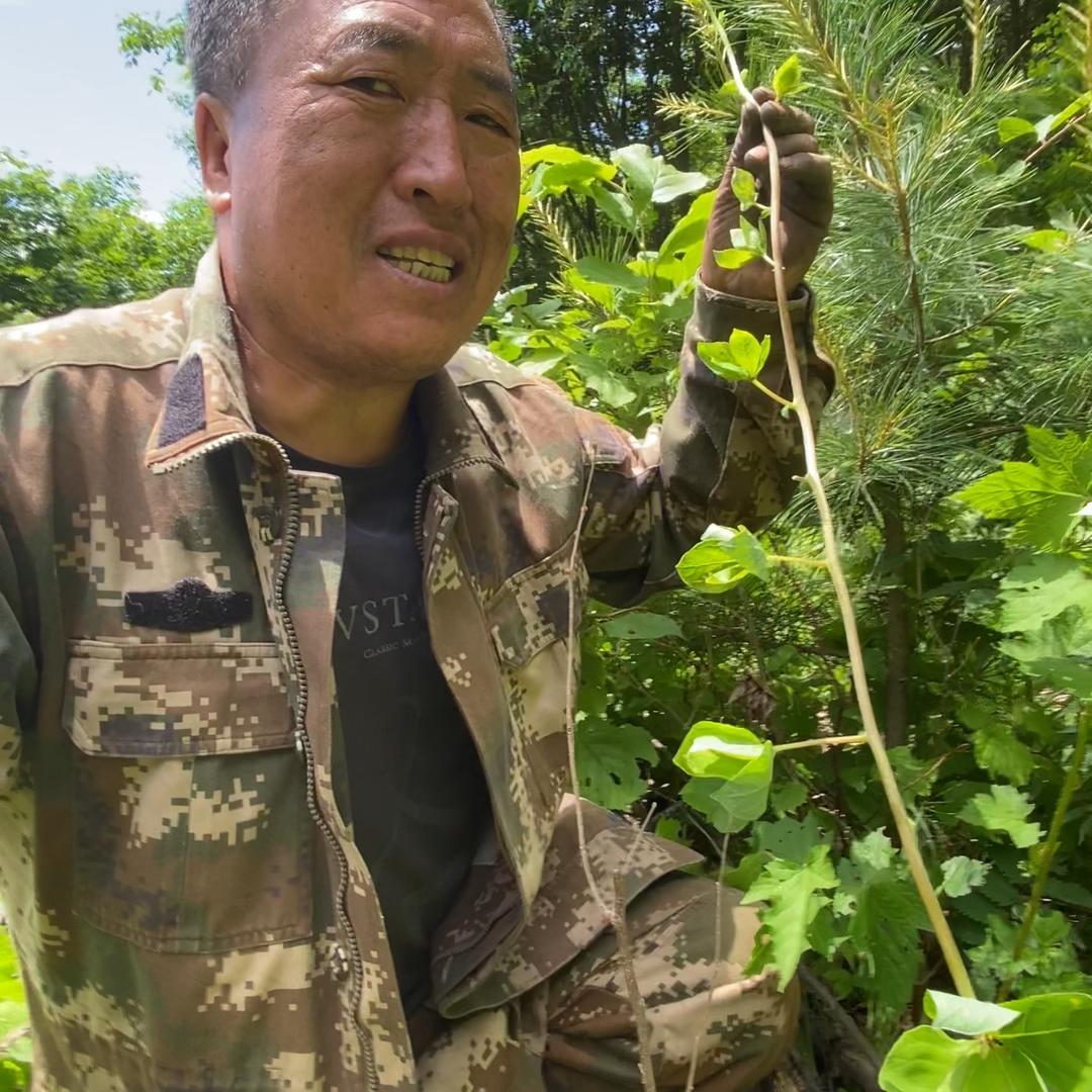 赶山人大双