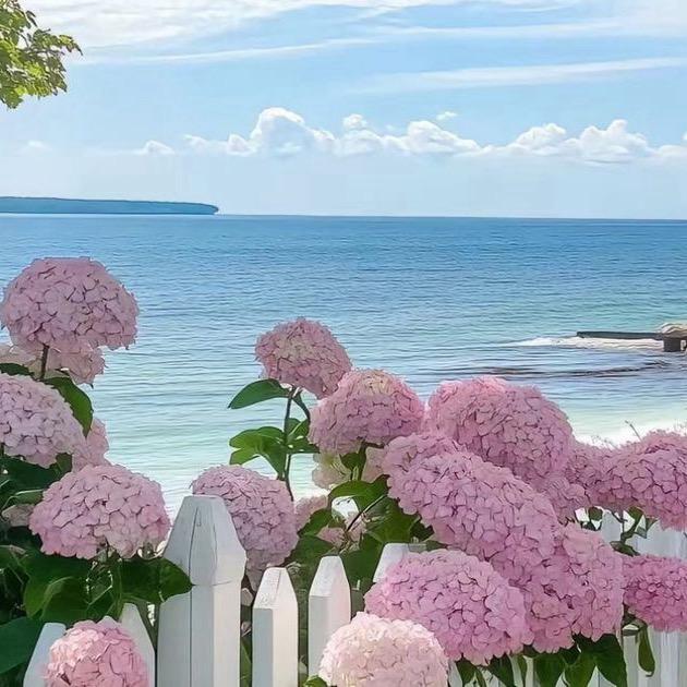 想太多会不快乐