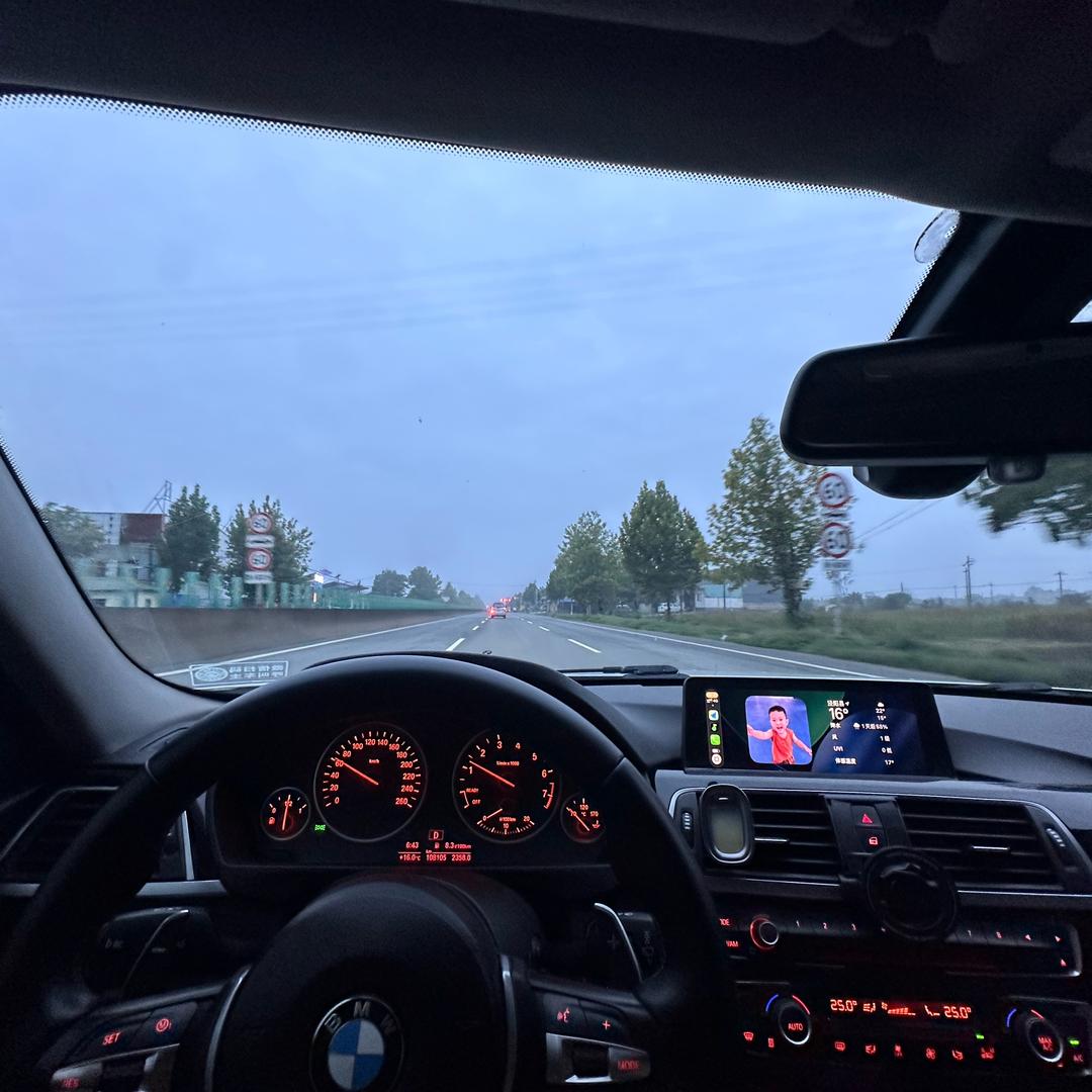 平平的果园奉节脐橙