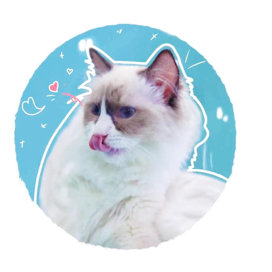 金角银角（品牌猫粮狗粮）