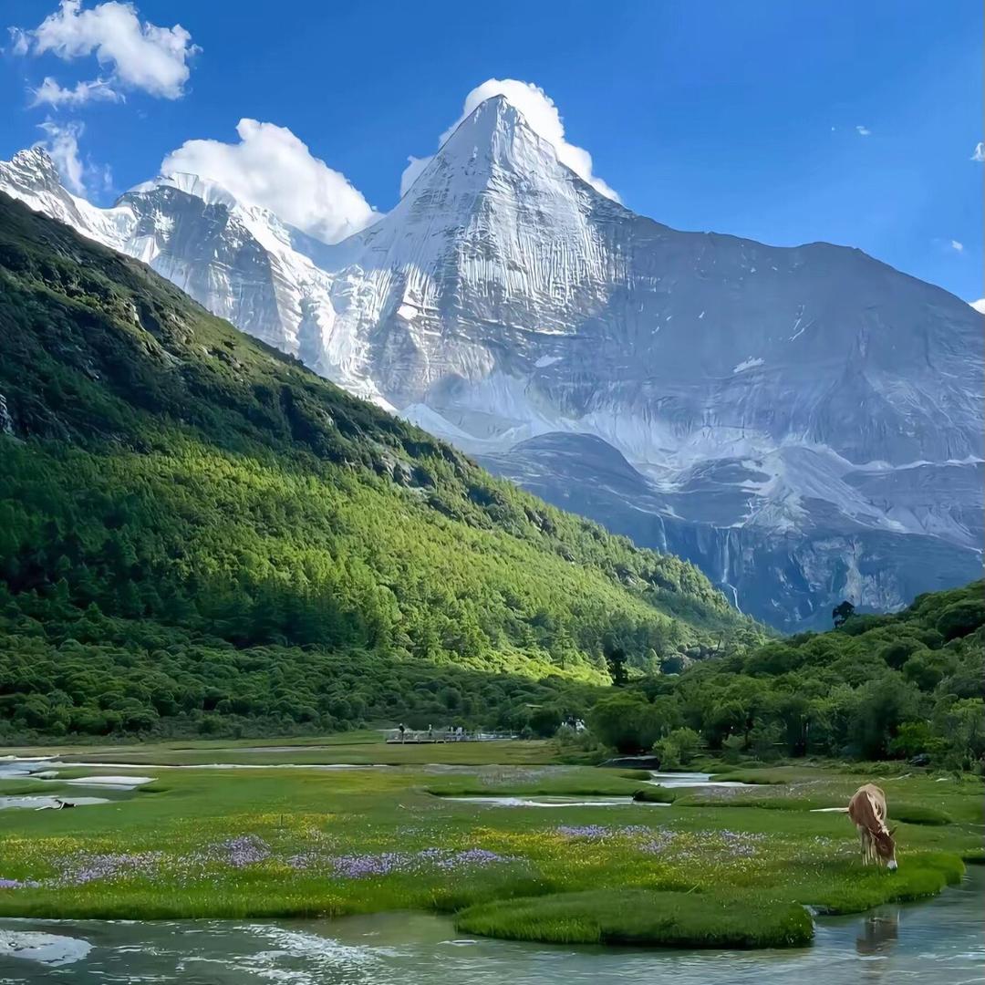 水银温度计工厂直销店