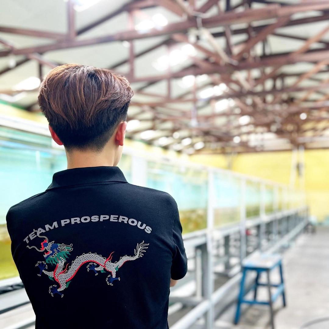 PROSPEROUS 瑞龙精品龙鱼