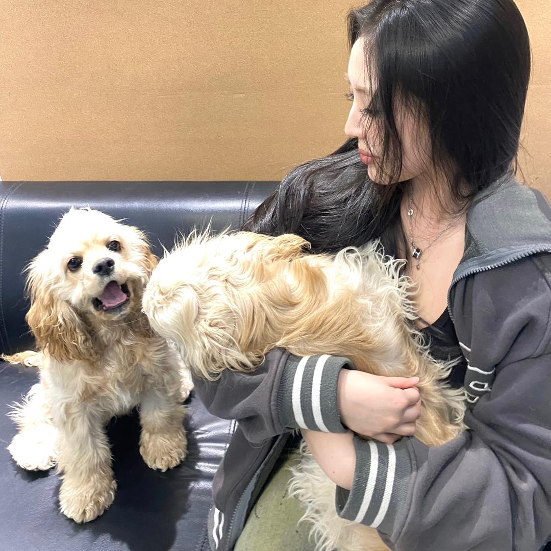 野子yee（美卡）