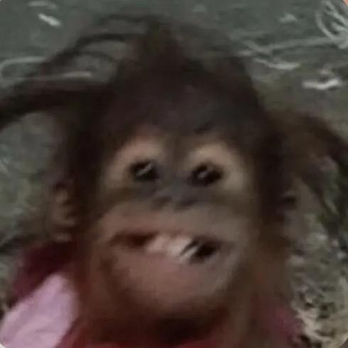 嗯嗯怪