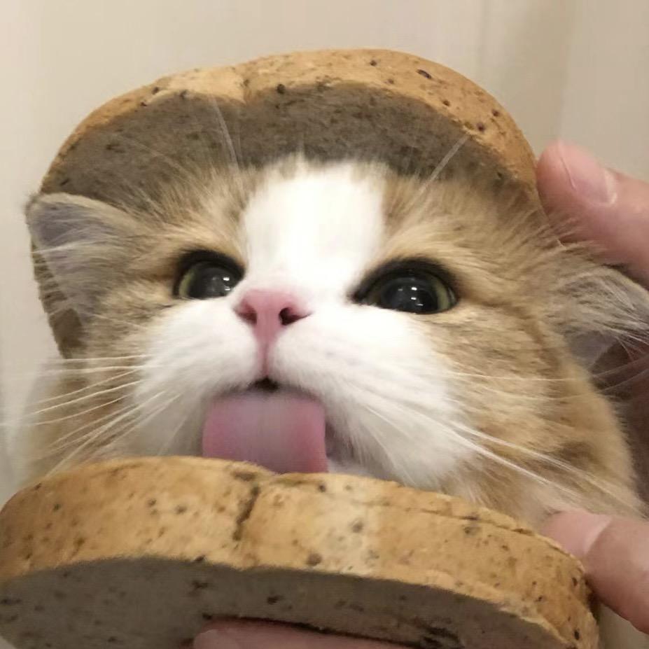 🍞失眠土司