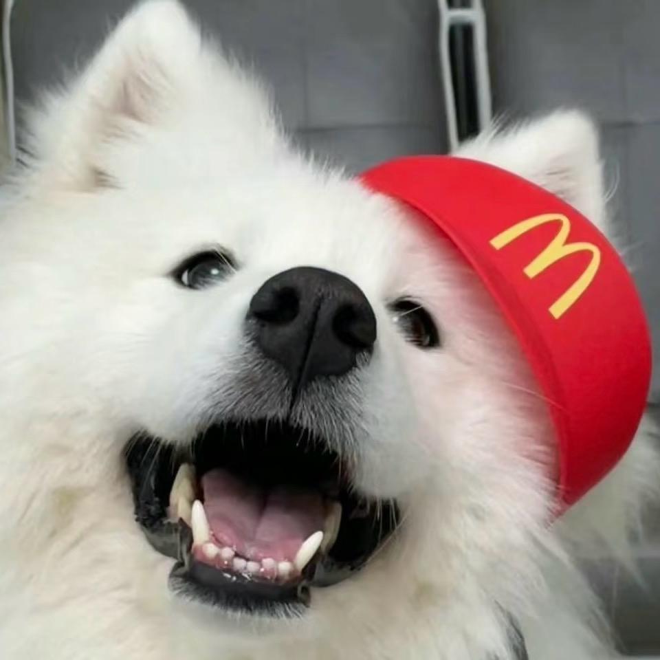 念远