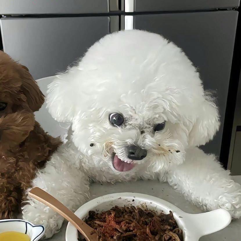 ￴ ￴￴ ￴ ￴ ￴  ￴