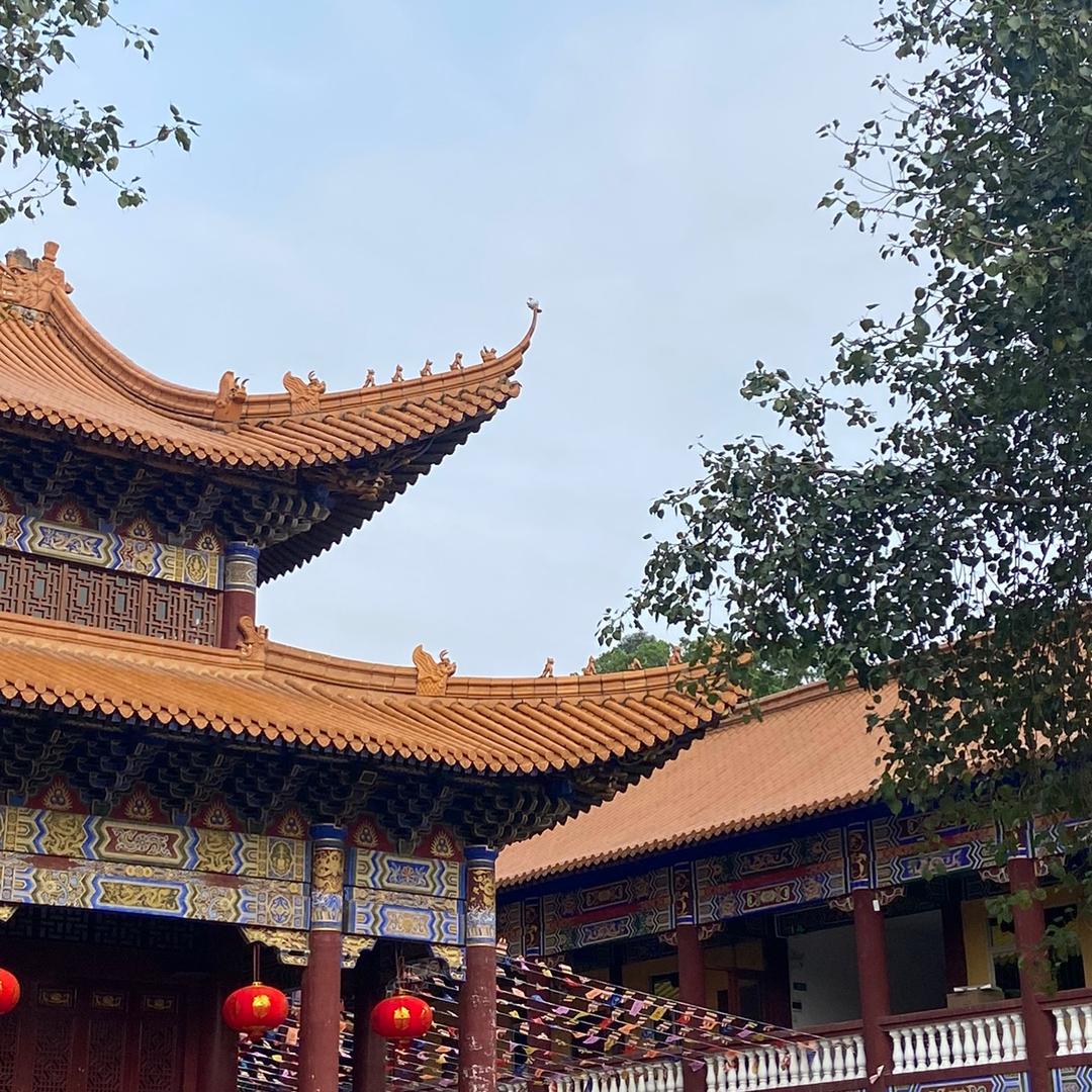 奈撕兔米邱