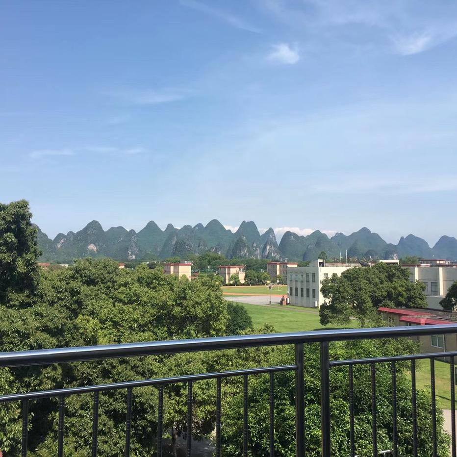 做胶粘剂的木子李