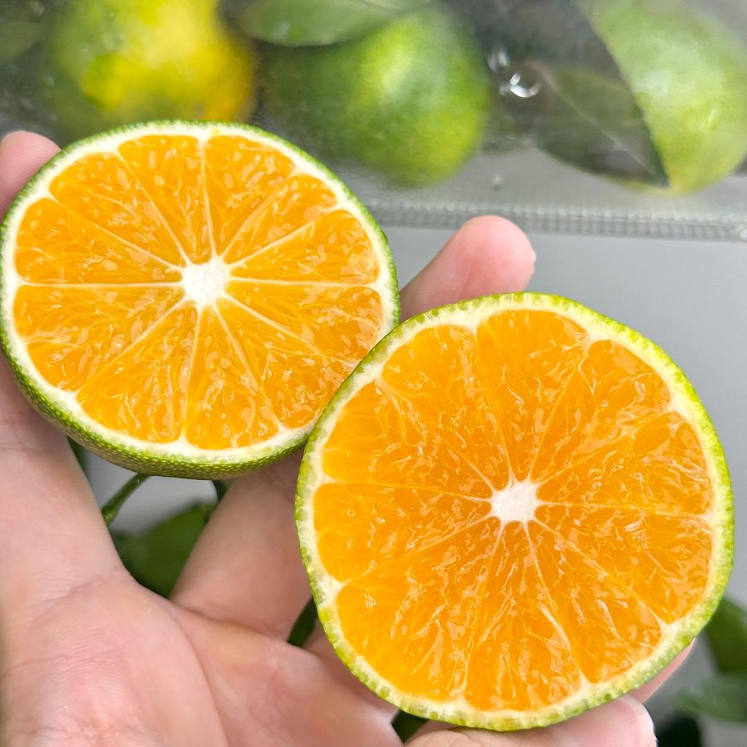 千里粒