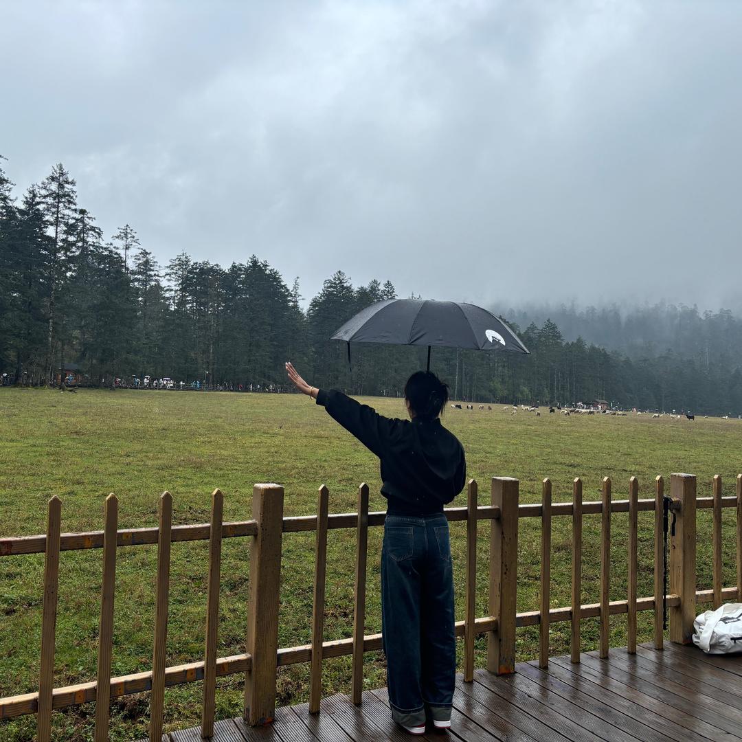 冰糖炖雪李💓