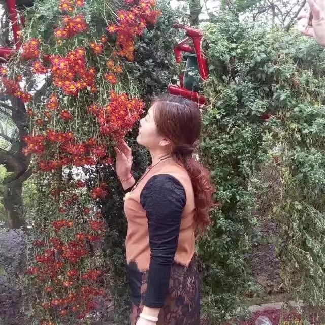 @彩云飘飘