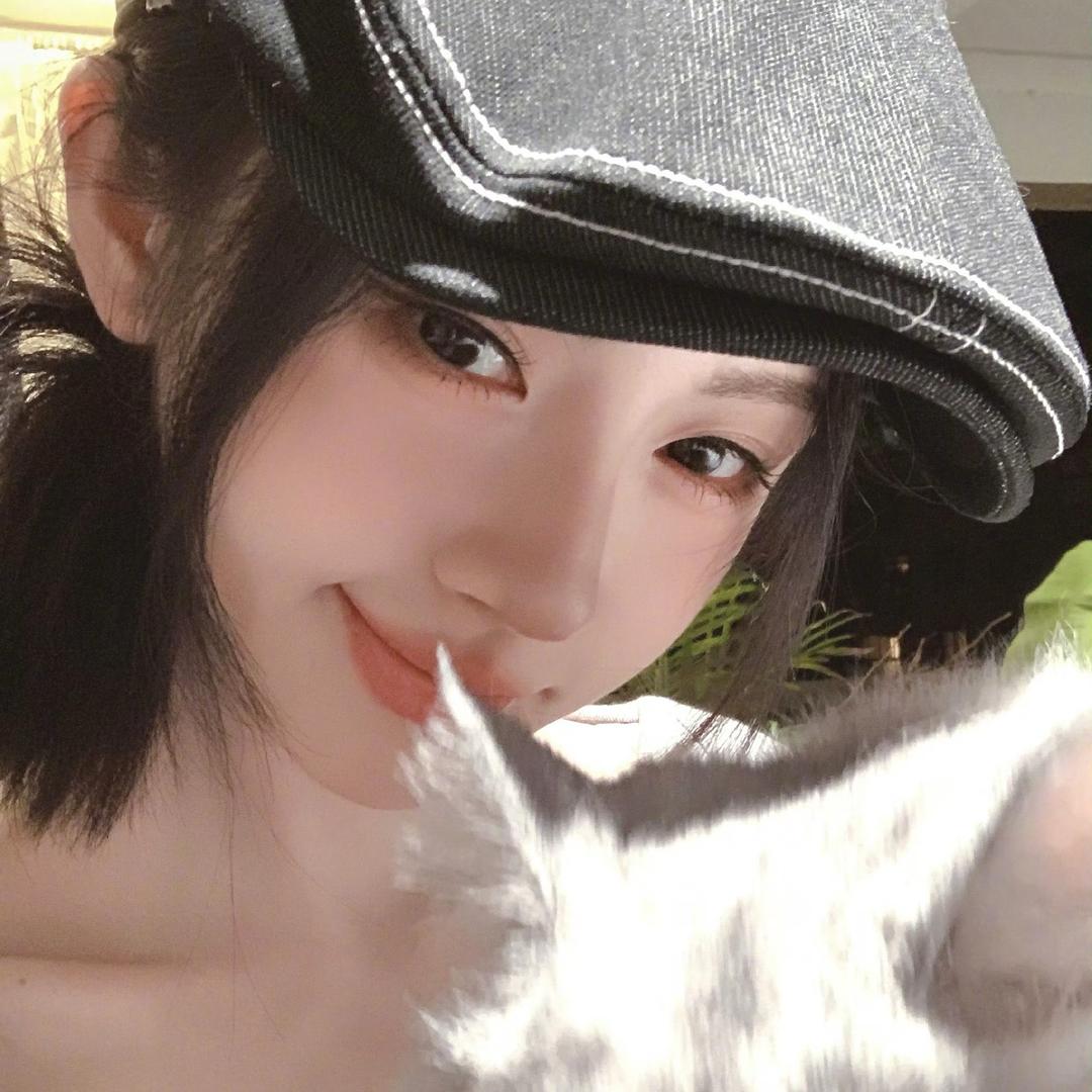 呆呆鱼-