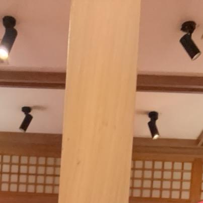 贩卖月亮的猪