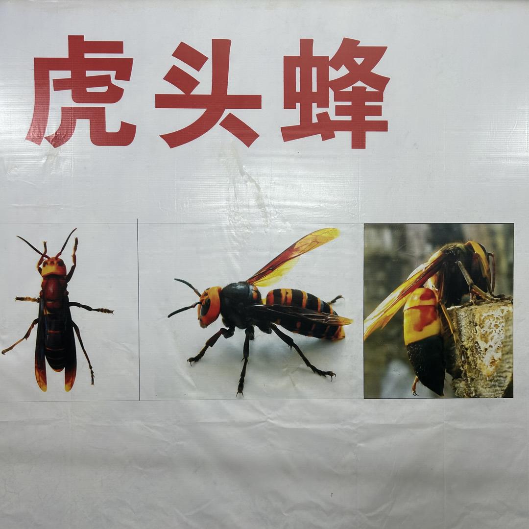 广西山野坊