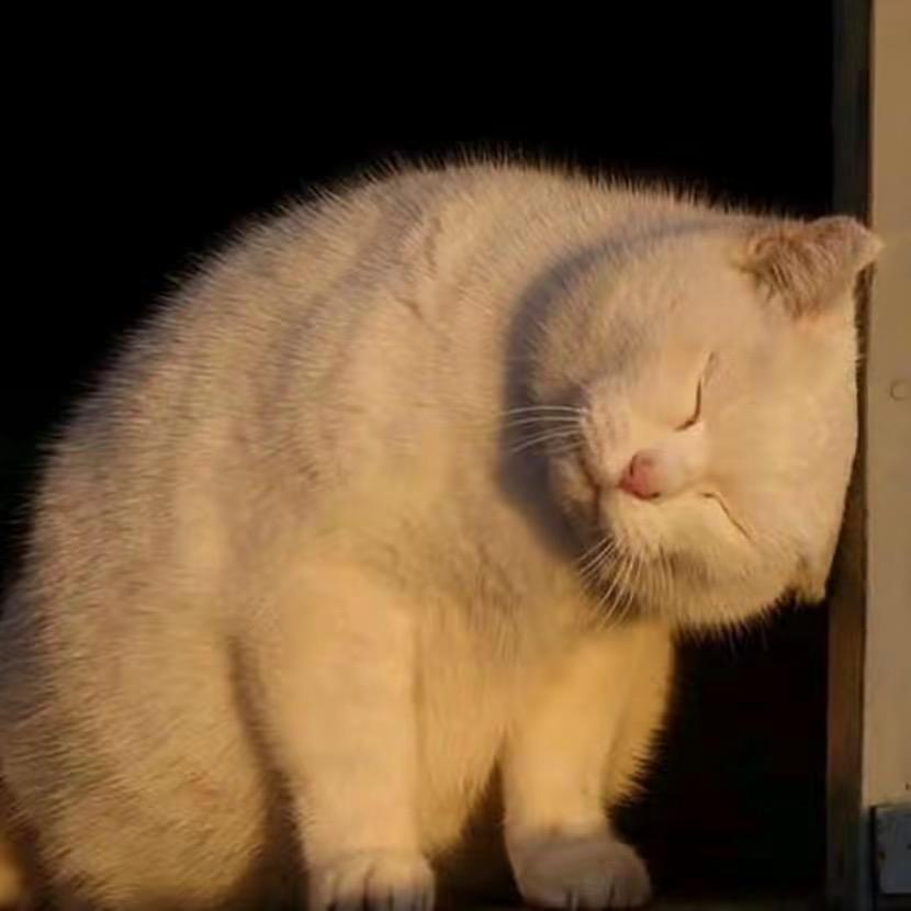 天灰灰