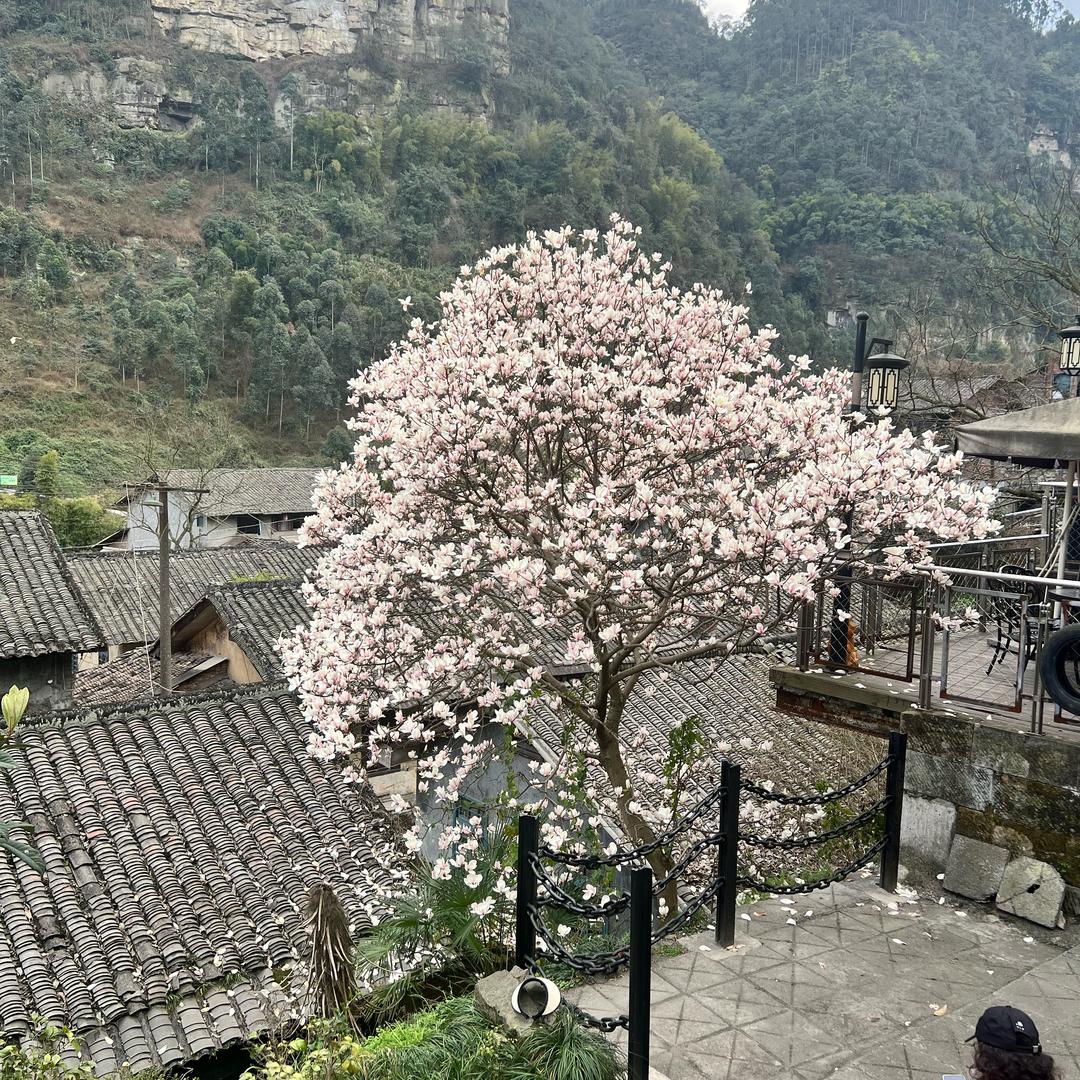 🙆朴国昌🙆‍♂️