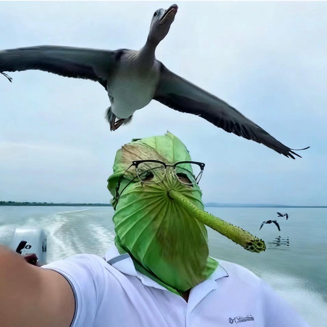 阿梦钓甲鱼
