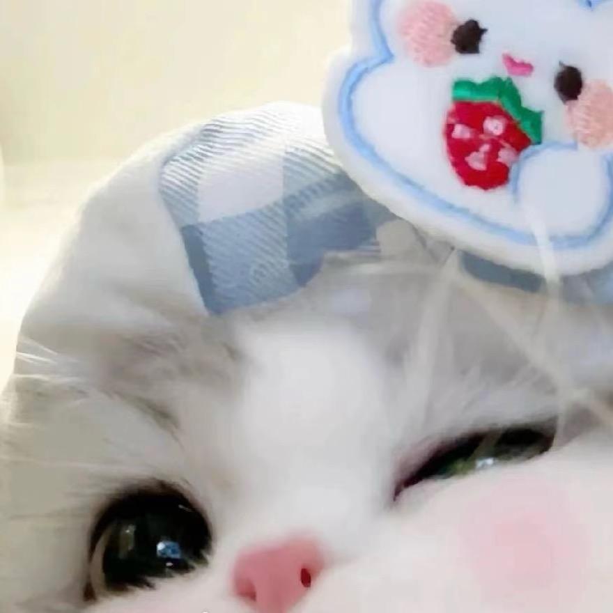 江一深