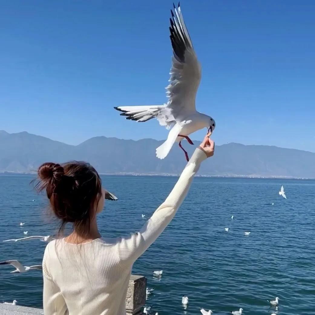 向太阳🌞说晚安
