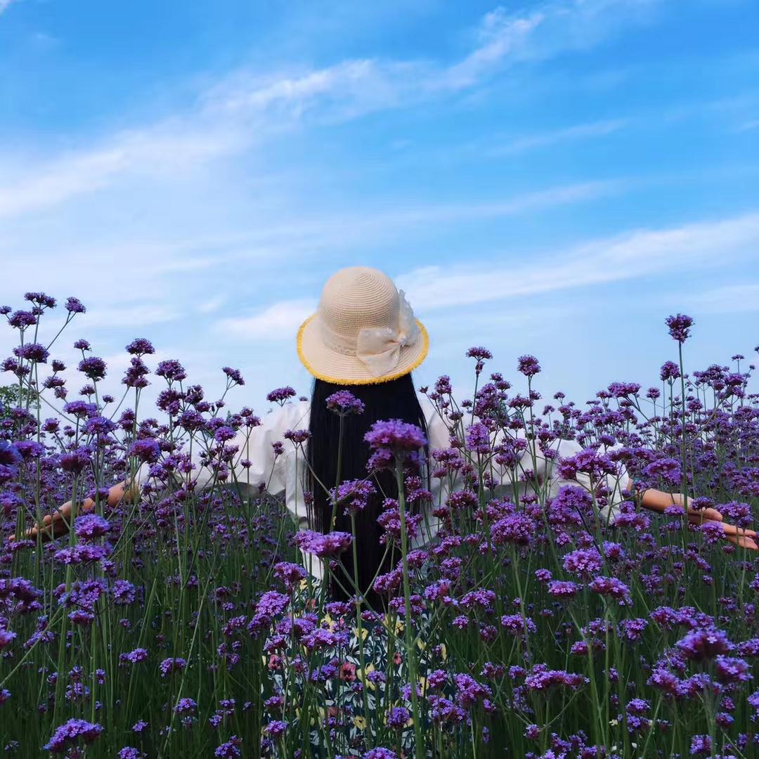 💗᭄余生ᝰᩚ随心