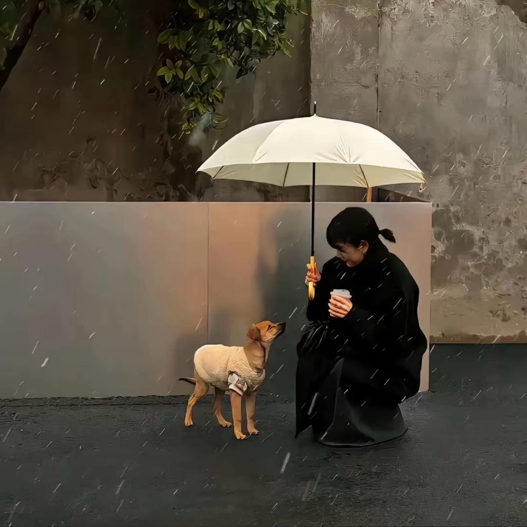 晚晚的冰淇淋