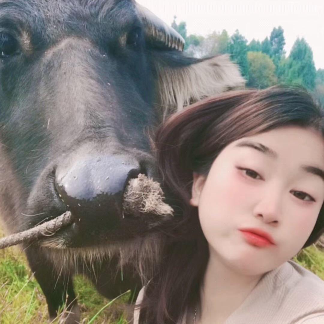 乡村小洁、
