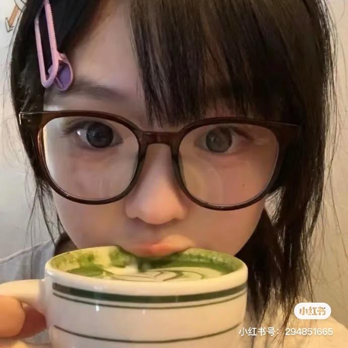 笨蛋猪